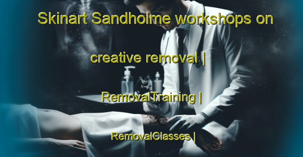 Skinart Sandholme workshops on creative removal | RemovalTraining | RemovalClasses | SkinartTraining-United Kingdom